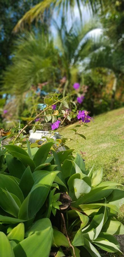 Guaruja 賓館 Bombinhas