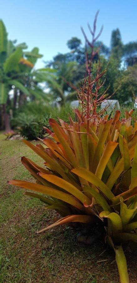 賓館 Guaruja Bombinhas